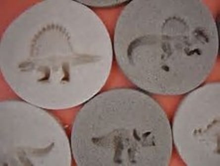 Salt dough fossils