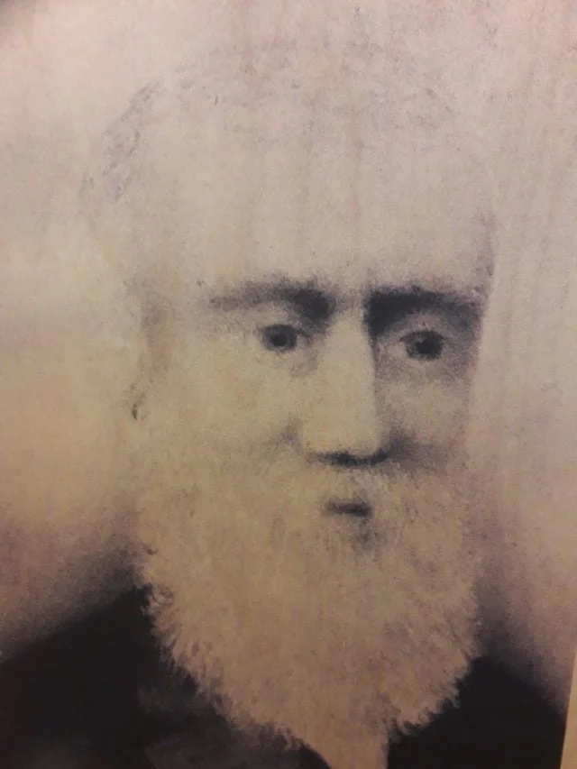 Daniel Muir
